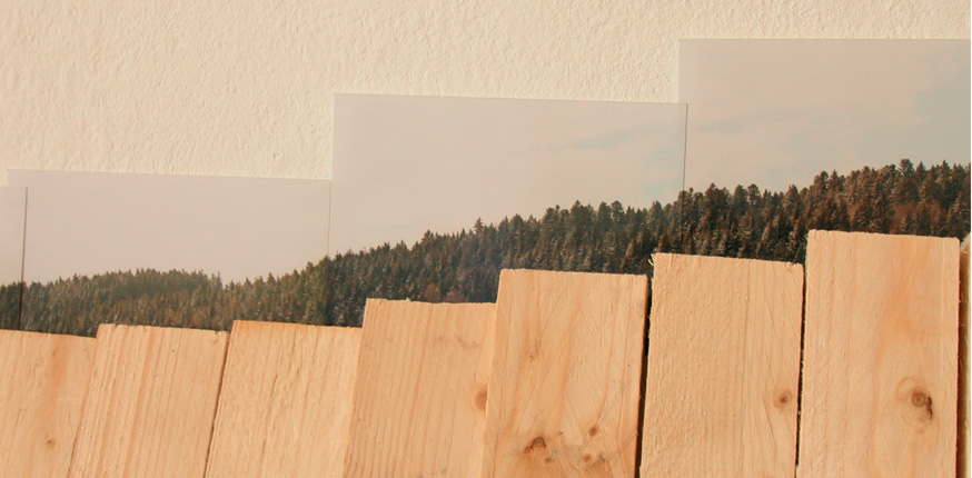 schwarzwald_detail